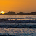 How to Get the Most Out of Your Photography Hobby