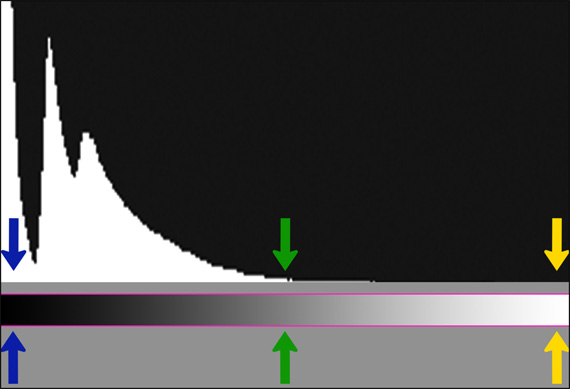 exposure histogram