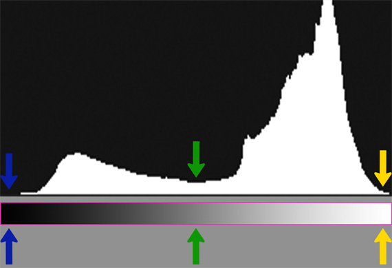 histogram photography