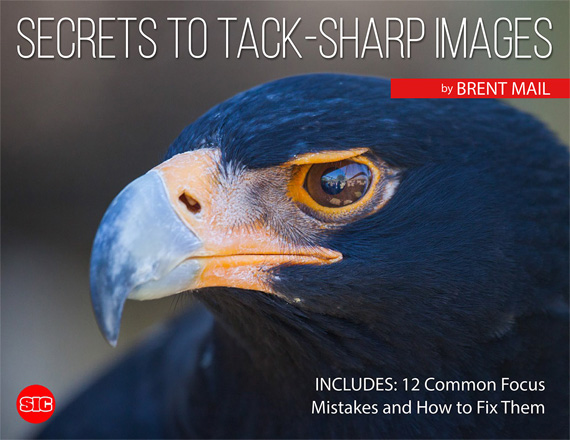 tack sharp images