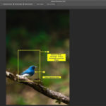 Photoshop Selections Tutorial Using 3 Tools