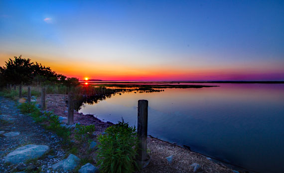 local landscape