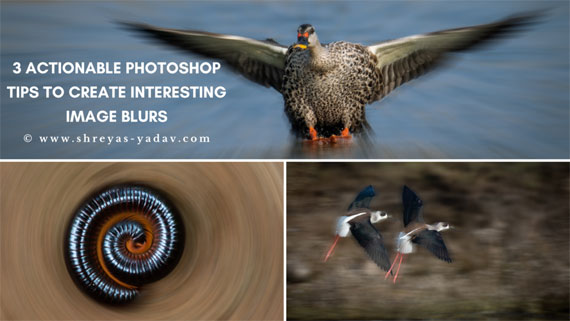 photoshop blur tips