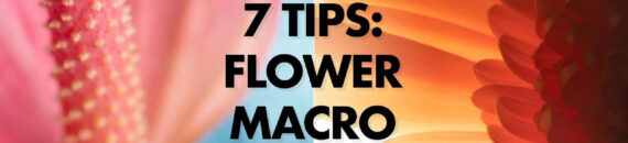 Flower Photography: 7 Macro Tips