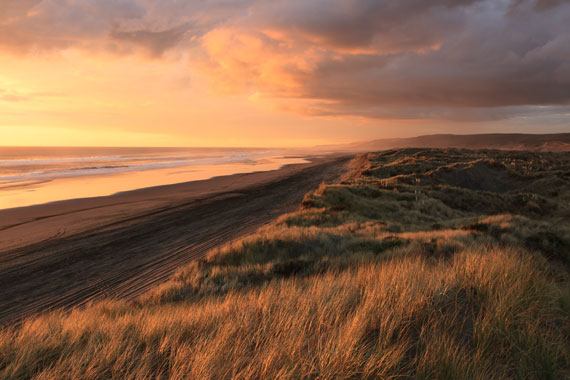 golden hour landscape