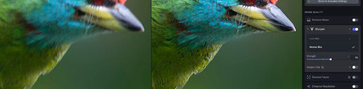 Topaz Photo AI Image Quality Editor
