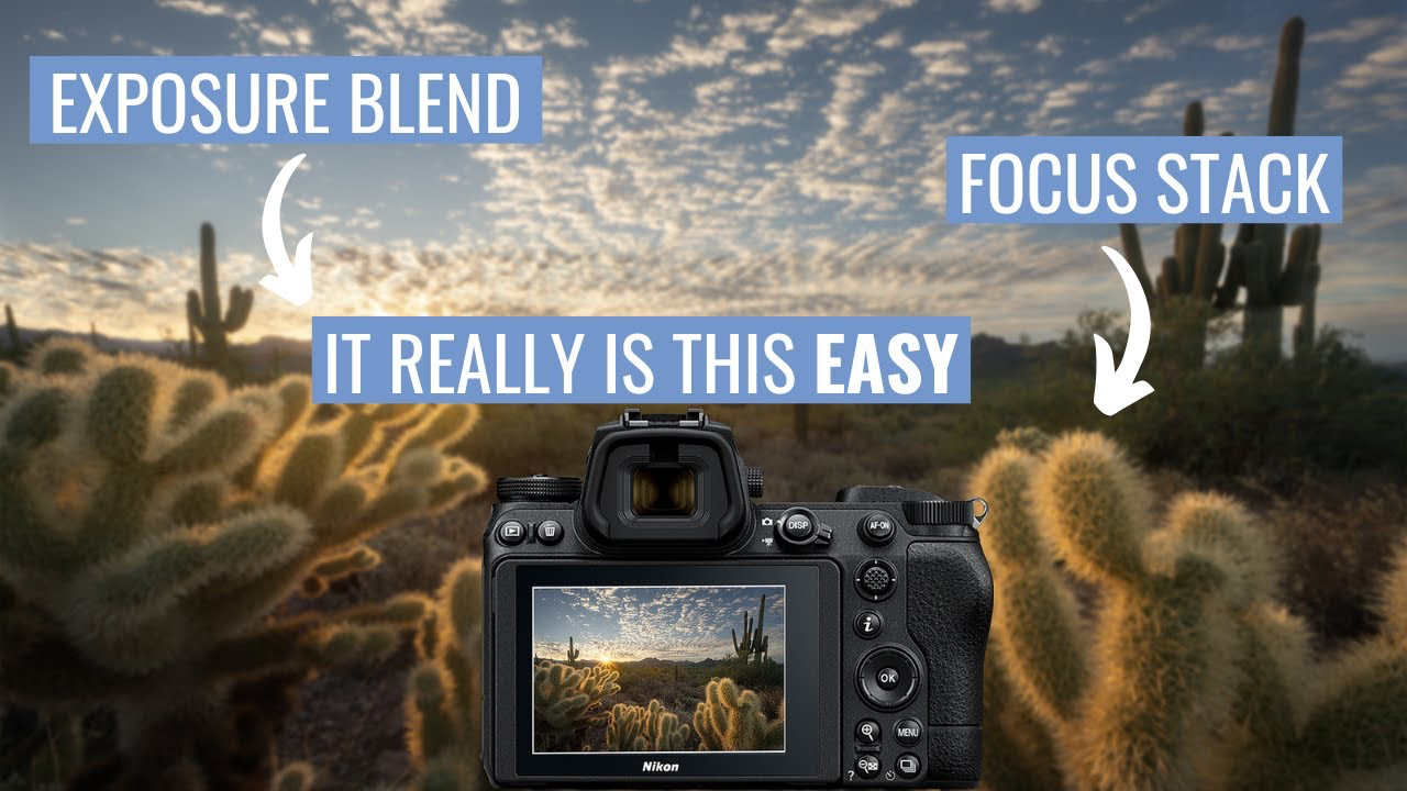 How to Combine Focus Stacking and Exposure Blending