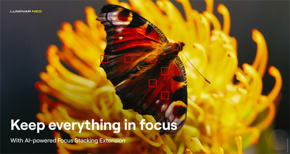 macro focus stacking