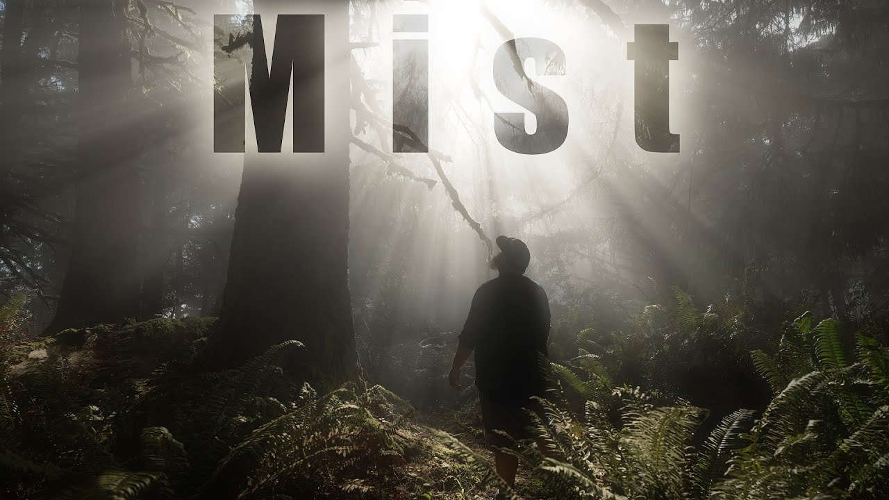 Misty Forest Photography Tips