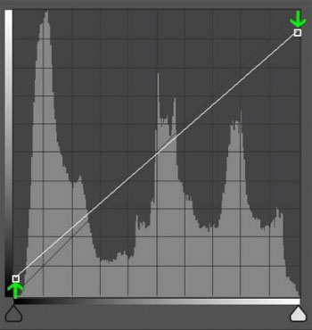 points adjustment