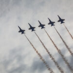 photography writing assignment What Autofocus Mode to Use