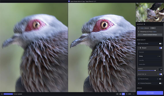 Photo AI: Improved Noise Reduction in Low Light Images