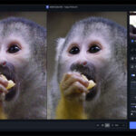 Just Released: Photo AI 2 Editing Features Explored