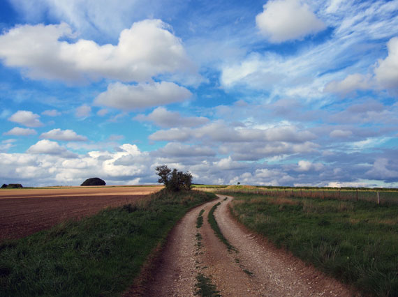 cumulus clouds