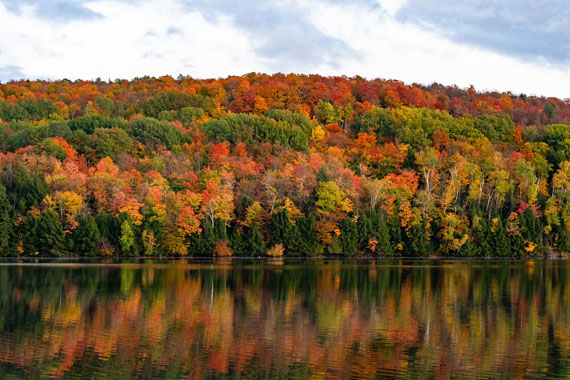 autumn colors