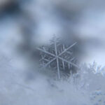 Ideal Weather Conditions for Perfect Snowflake Photography