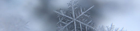 Ideal Weather Conditions for Perfect Snowflake Photography