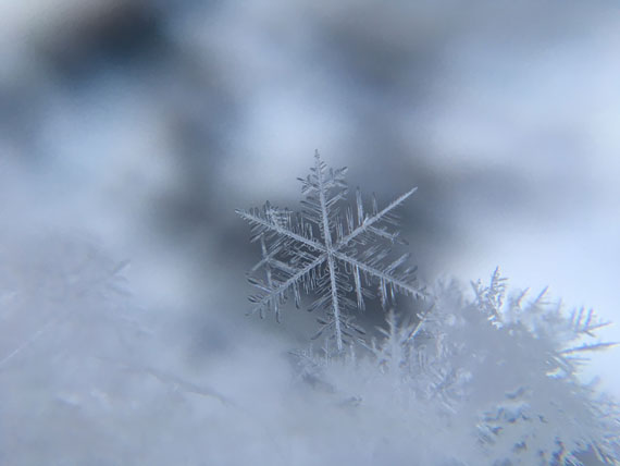 snowflake image