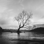 When to Use Black & White for Landscape Photography