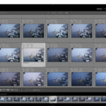 Lightroom Culling Mastery: Tips for Choosing Your Best Photos