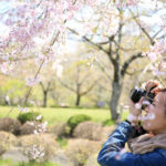 The Photographer’s Garden: A Journey Through Floral Beauty