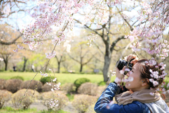 flower photographer