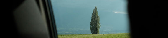 Subframing in Photography Composition