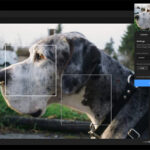 Photographers: This AI Tool Just Got a Big Upgrade