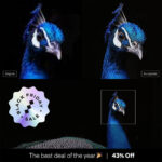 Black Friday Deal for Tack-Sharp Photos