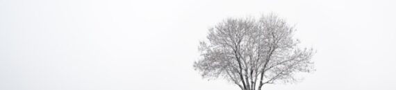 Cold-Weather Minimalism Photography Exercise