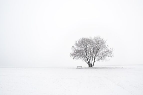 winter minimalism