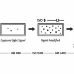 ISO Stress Test to Get to Know Your Camera