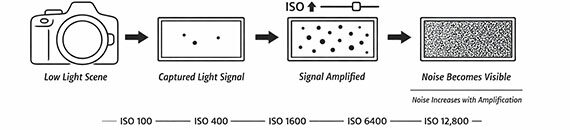 ISO Stress Test to Get to Know Your Camera