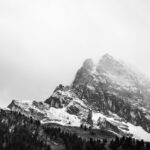 ETTR in Black & White: Exposing for Maximum Tonal Data