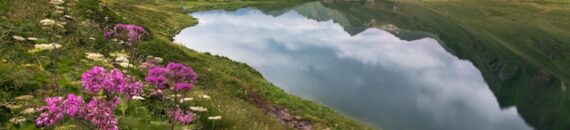 Why Your Photos Still Look Flat (Even in Spring)