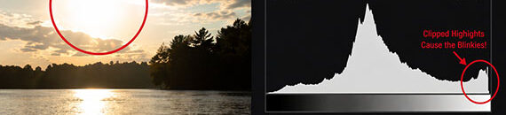 The Blinking Camera Warning Most Photographers Ignore (But Shouldn’t)