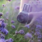 Manual Mode Camera Settings for Spring Flowers