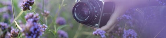 Manual Mode Camera Settings for Spring Flowers