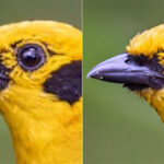 Why Some “High-Resolution” Photos Still Look Bad (And How Topaz Just Fixed It)