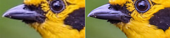 Why Some “High-Resolution” Photos Still Look Bad (And How Topaz Just Fixed It)