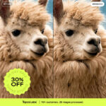 Limited-Time: Sharper, Cleaner Photography for Less