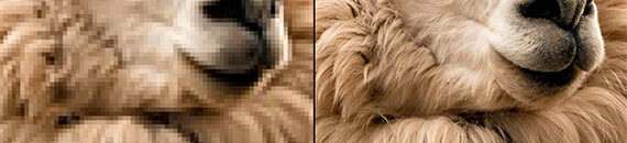 Limited-Time: Sharper, Cleaner Photography for Less