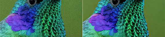 AI Photo Editing Just Took a Big Leap Forward