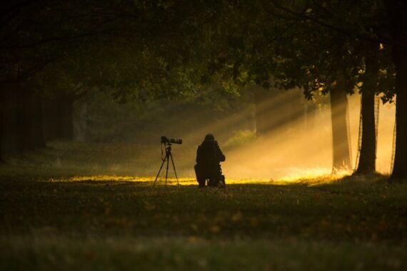 light rays