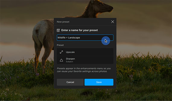 save preset