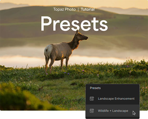 topaz presets