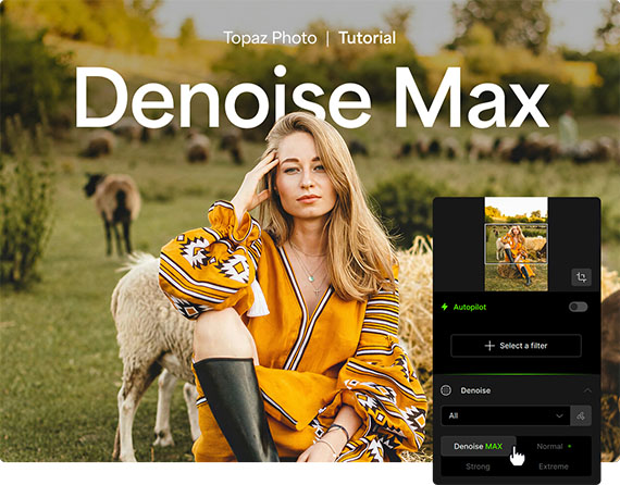 denoise max