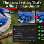 The Export Setting That’s Killing Image Quality