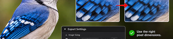 The Export Setting That’s Killing Image Quality