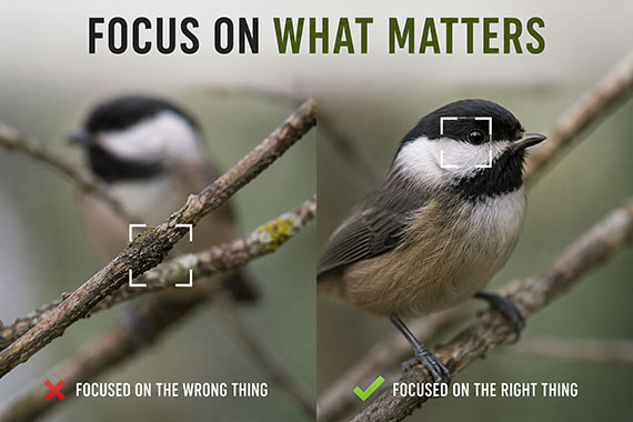 focus point